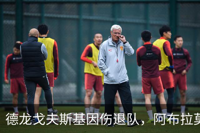 德龙戈夫斯基因伤退队，阿布拉莫维奇紧急补位