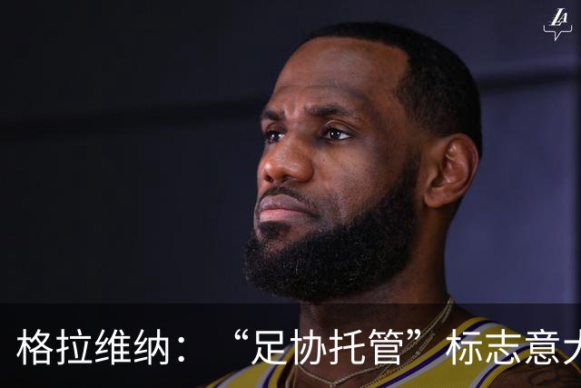 格拉维纳：“足协托管”标志意大利体育的沉重考验